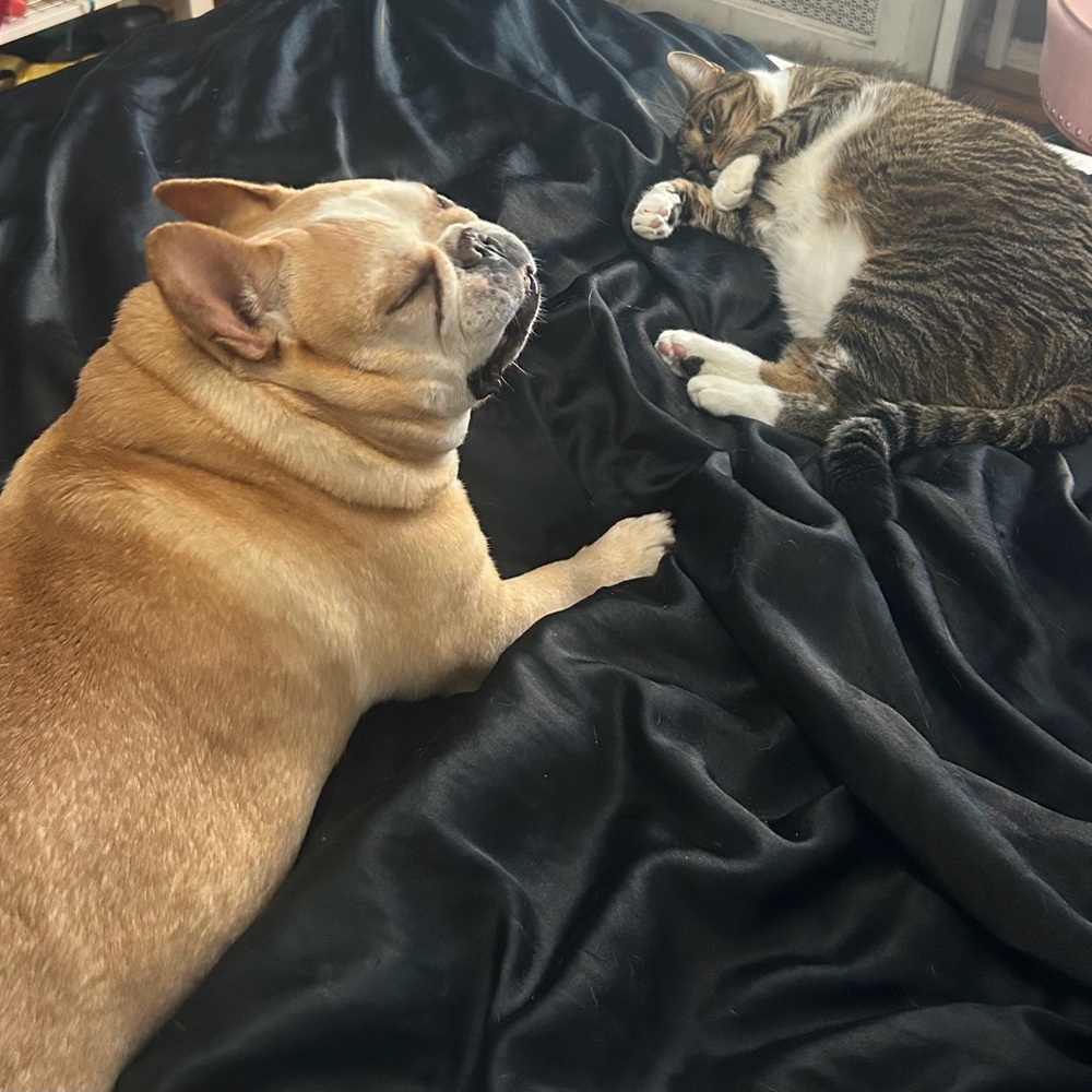 The babies